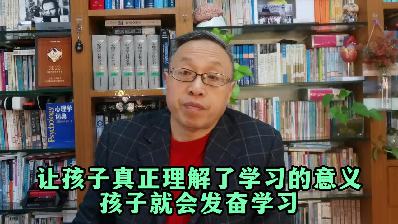 让孩子真正理解了学习的意义,孩子就会发奋学习哔哩哔哩bilibili