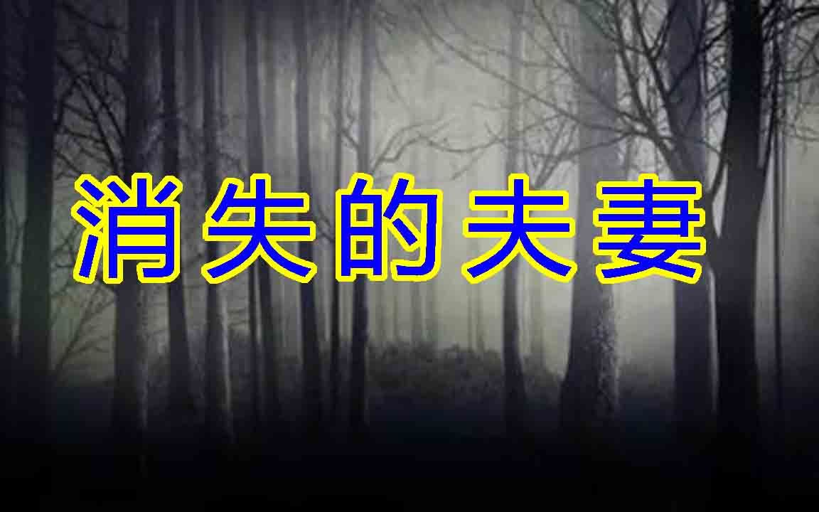 消失的夫妻细节还原(消失的夫妻真相更复杂)