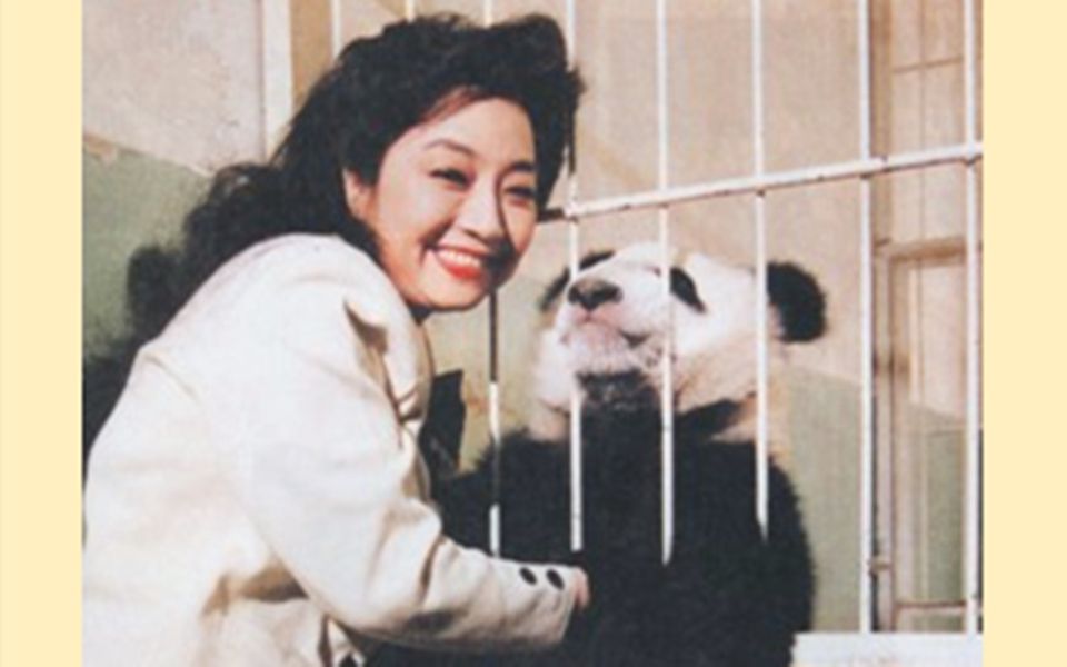 [图]Paula Tsui？No！Panda Tsui！！