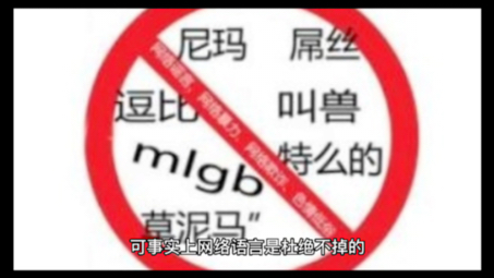 网络词语的讨论哔哩哔哩bilibili