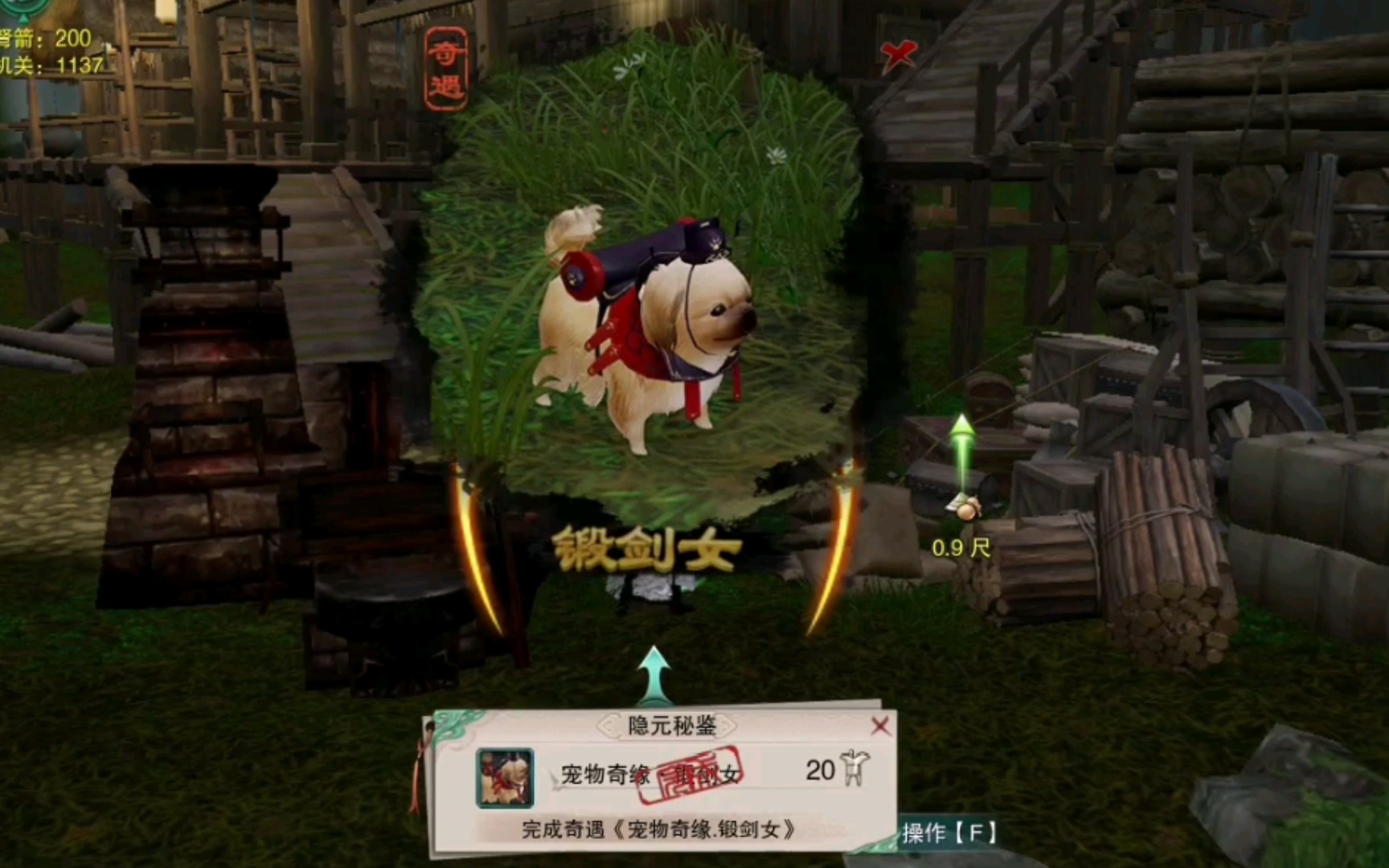 剑三奇遇运运金水狗宠物奇遇锻剑女