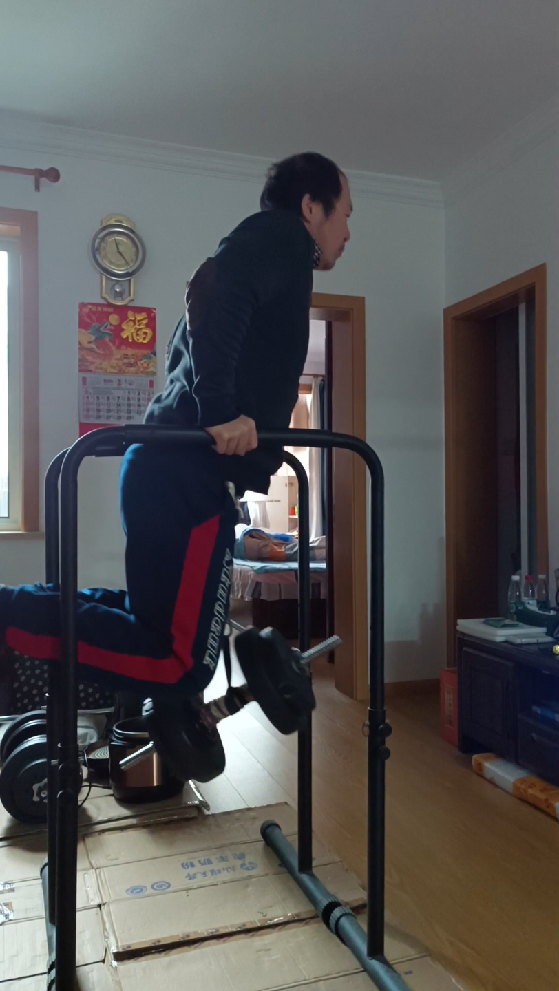 负重19kg臂屈伸/曲臂挺身日常锻炼不止