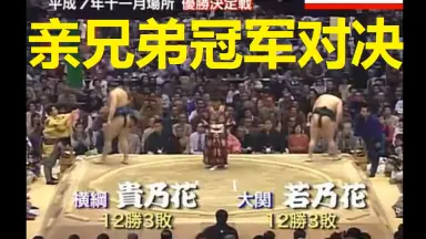 【当店限定販売】 若乃花-哔哩哔哩_Bilibili スポーツ・フィットネス