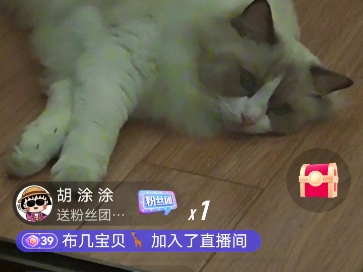 10.19何聪睿哔哩哔哩bilibili