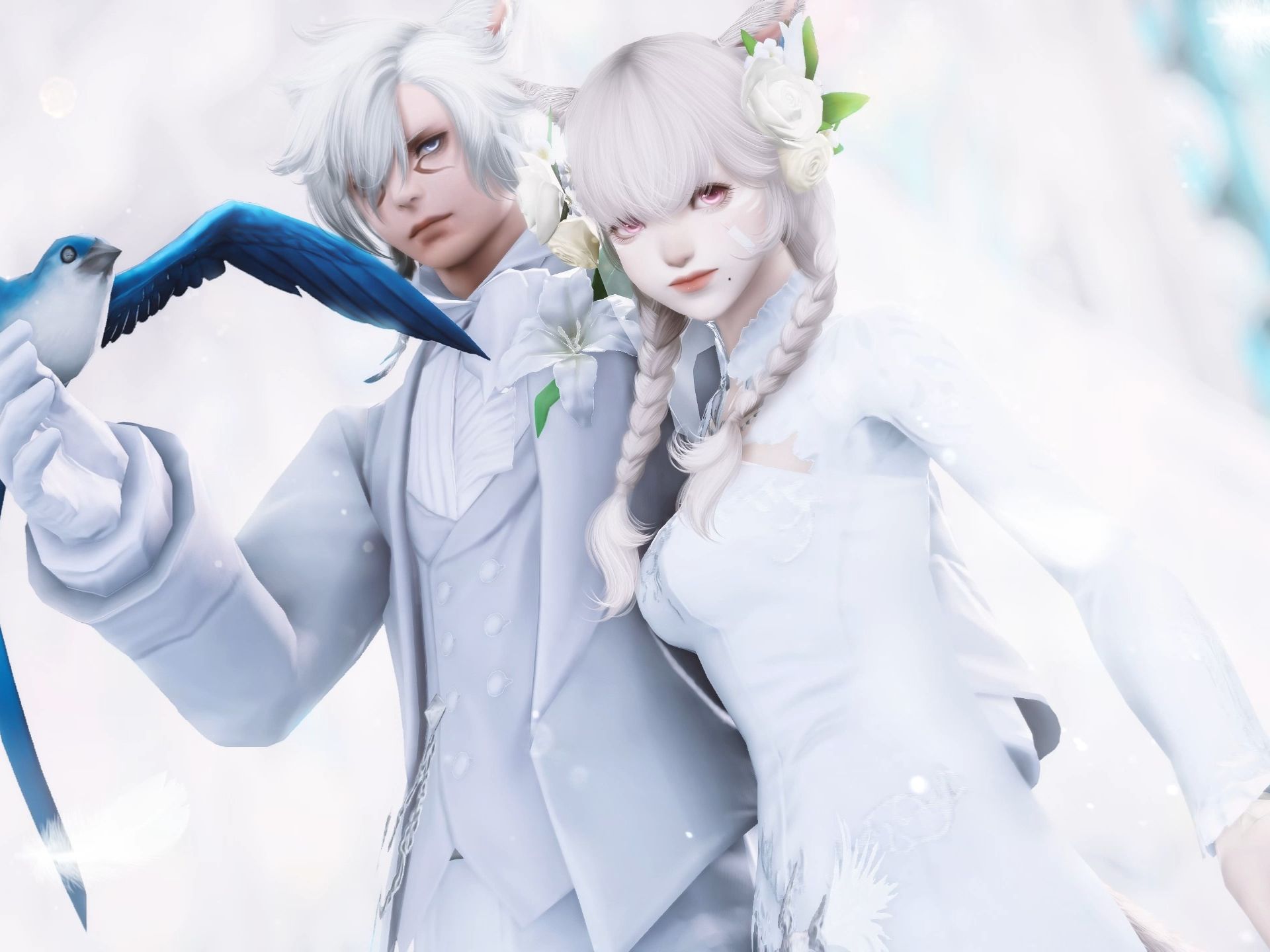 【ff14/猫猫夫妇】和你的婚礼-双人精修存档