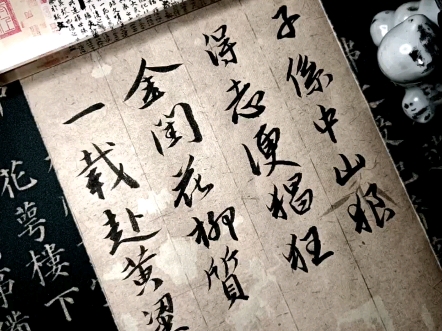 金陵十二钗贾迎春【判词】子系中山狼,得志便猖狂.