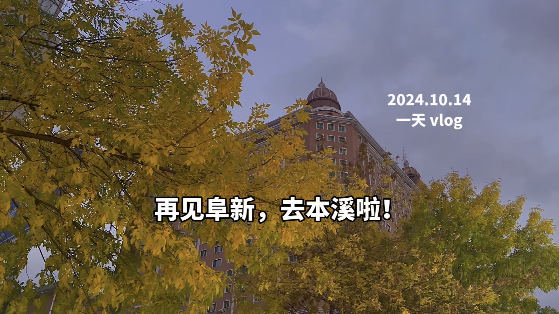 4万全款东北小城买房|阜新到沈阳,沈阳到本溪哔哩哔哩bilibili