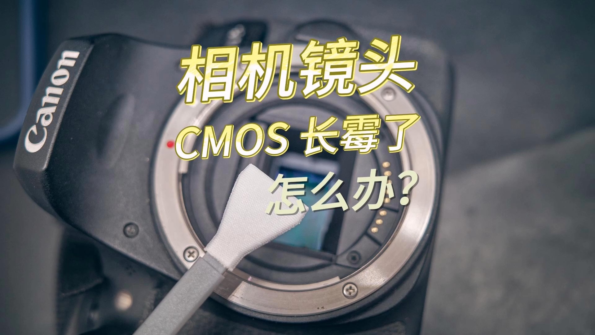 相机镜头,cmos 长霉了怎么办?