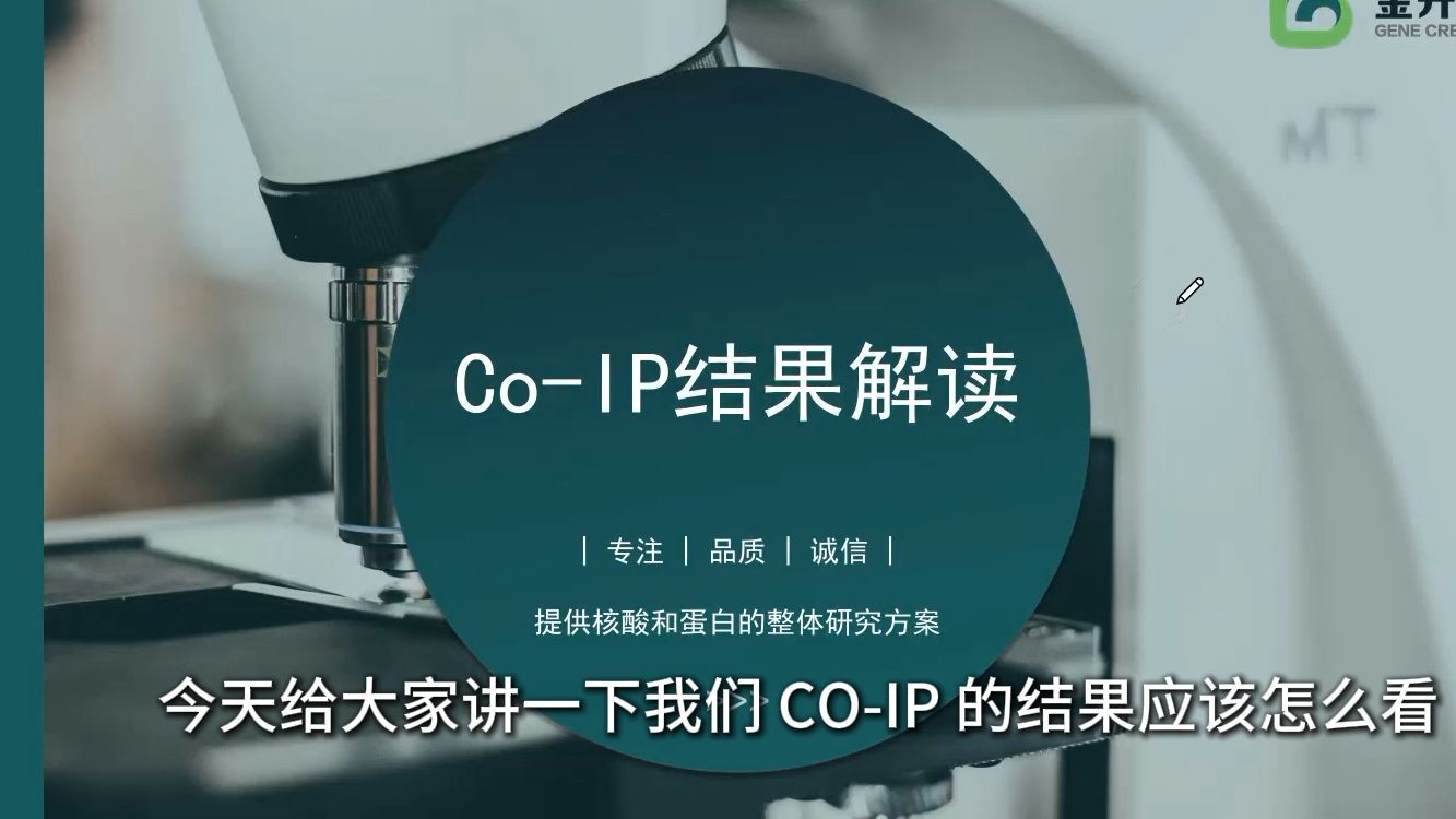 CoIP实验结果解读,蛋白条带这样看哔哩哔哩bilibili