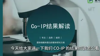 Co-IP实验结果解读，蛋白条带这样看