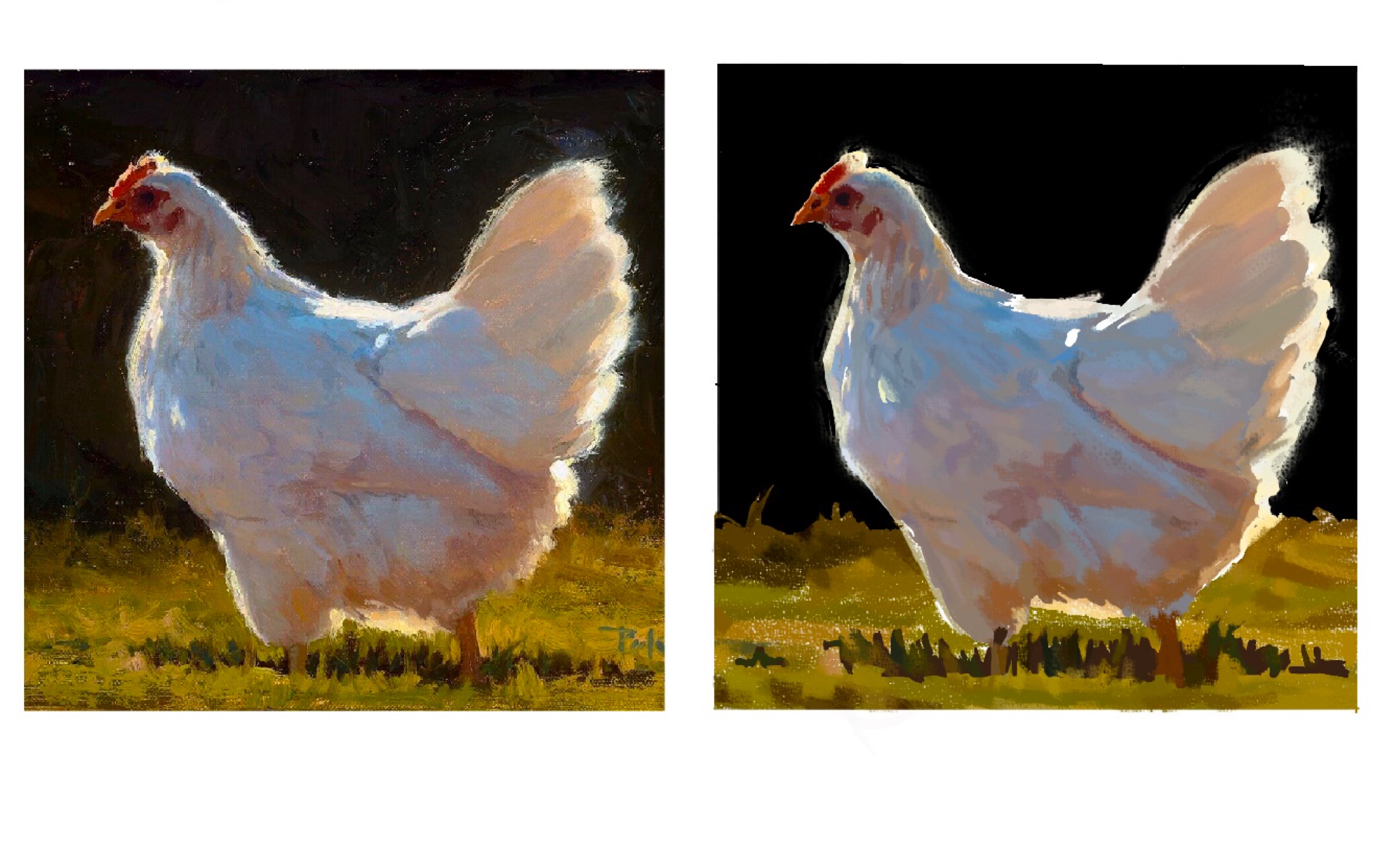 krenz色彩8期l4作业鸡——五彩斑斓的白就是这样!