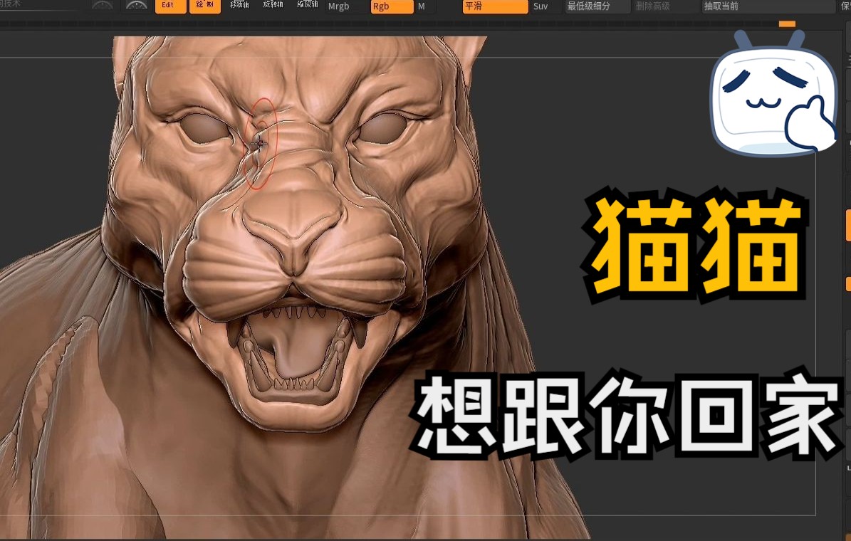 【動物·zbrush建模 】花豹——建個貓,ta想跟我回家0v0