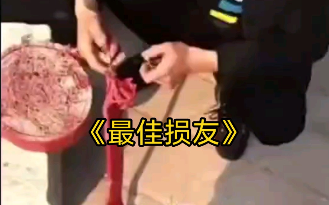 《最佳损友》哔哩哔哩bilibili