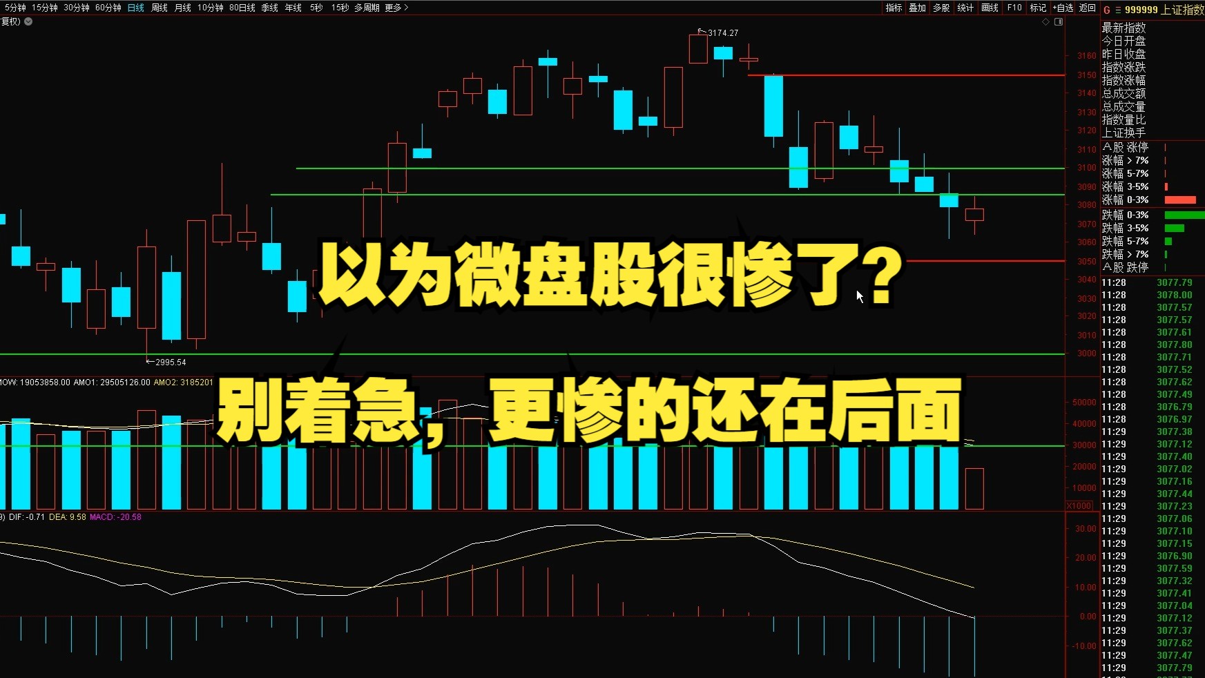 以为微盘股很惨了?别着急,更惨的还在后面!哔哩哔哩bilibili