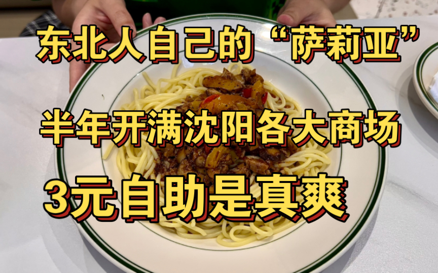 东北人自己的“萨莉亚”3元自助性价比是真高,怪不得能在半年内开满沈阳各大商场哔哩哔哩bilibili