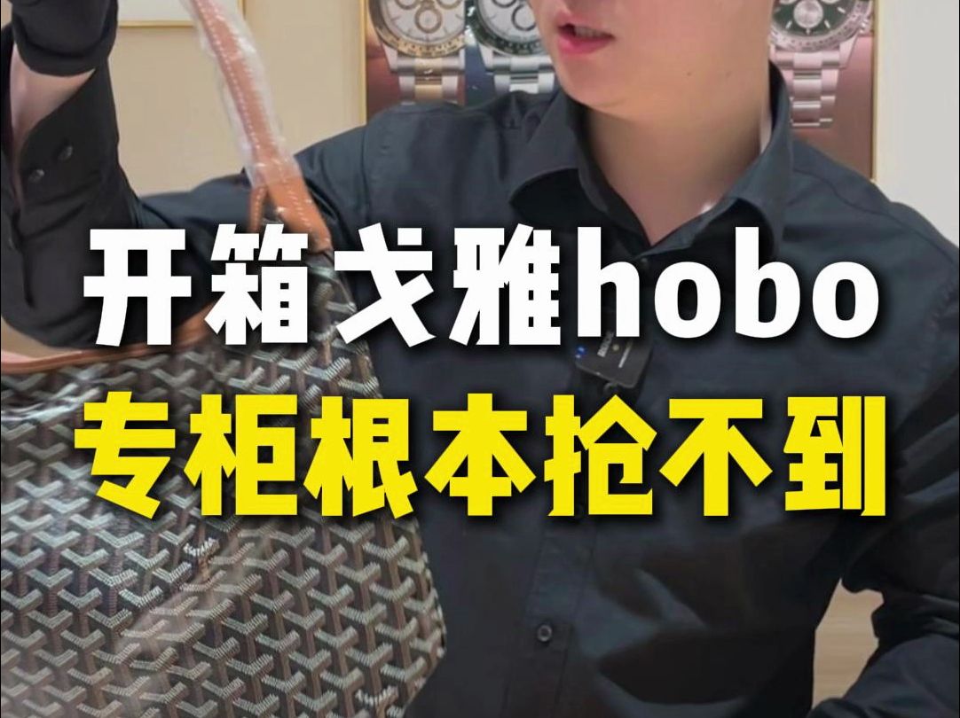 戈雅hobo怎么这么难买!!哔哩哔哩bilibili