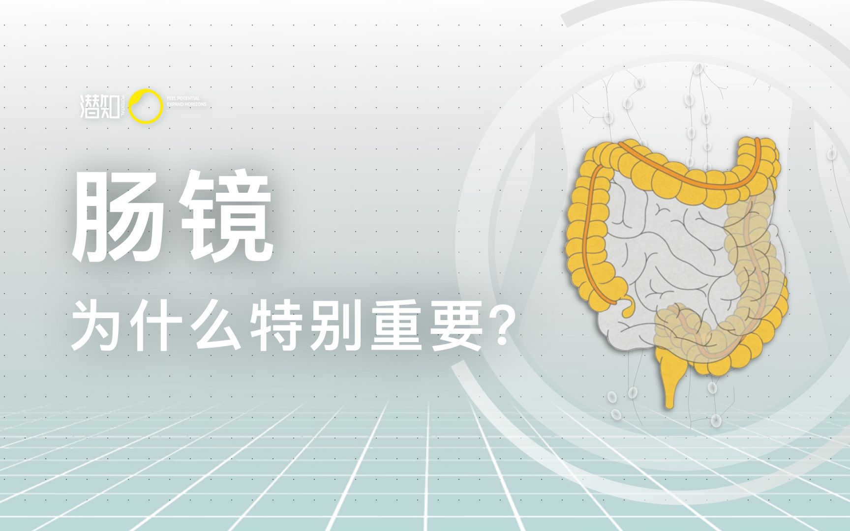 肠镜为什么特别重要,你知道吗?黑豹去世和日本首相离职,都是下消化道的问题.哔哩哔哩bilibili