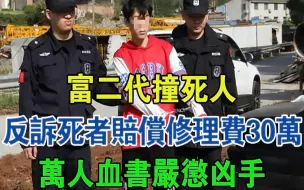 下载视频: 富二代撞死人：反诉死者家属赔偿其修理费30万，万人血书严惩凶手#大案纪实#刑事案件#案件解说