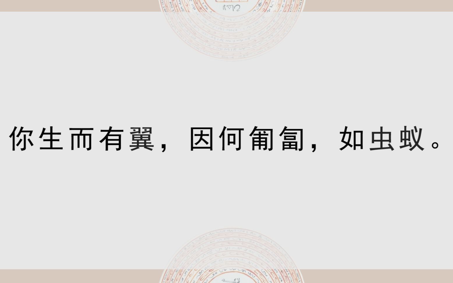 波斯文学鲁米专题你生而有翼因何匍匐如虫蚁第一期