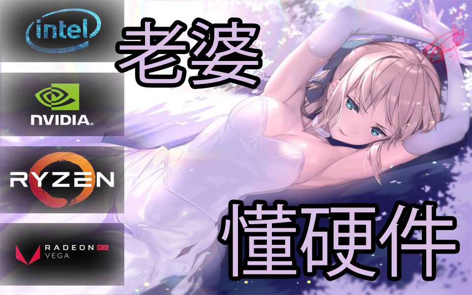 【装机猿】装台电脑竟然被判刑?千万别娶懂硬件的老婆