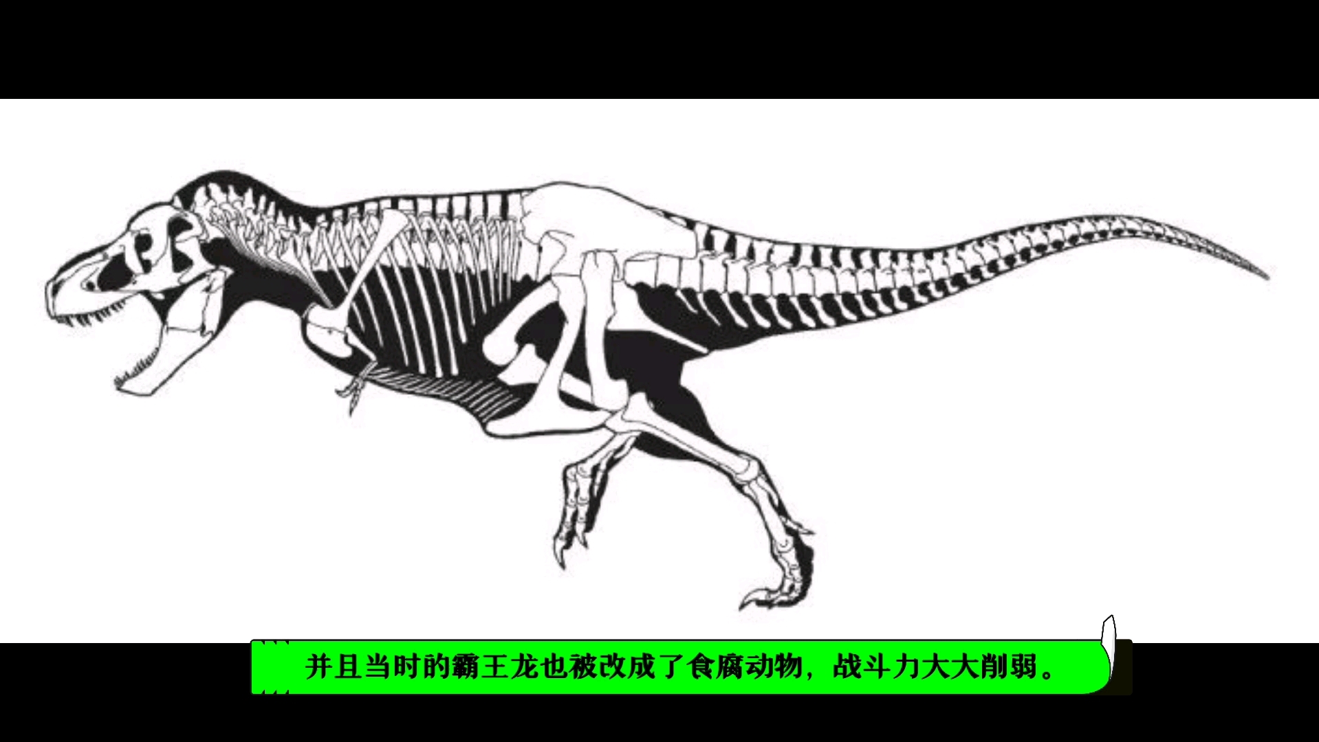 [图]战神棘龙科普视频测试。