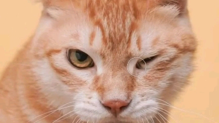 ps教程教你仿制图章的几个小技巧,不会的抓紧学起来,建议点赞收藏