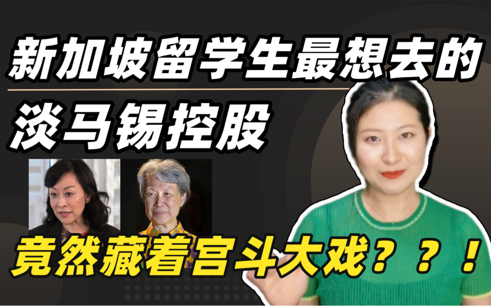 新加坡留学生最想去的淡马锡控股!竟然藏着宫斗大戏??!哔哩哔哩bilibili