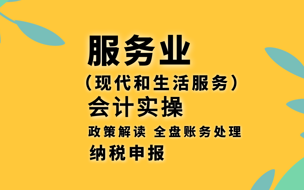 服务业会计实操(现代服务和生活服务)政策解读、全盘账务处理、纳税申报(增值税、企业所得税预缴、个人所得税预缴、附加税费、印花税)哔哩哔...