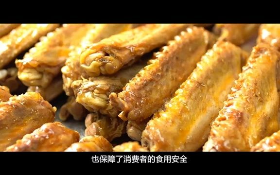 (形象片)绝味食品哔哩哔哩bilibili