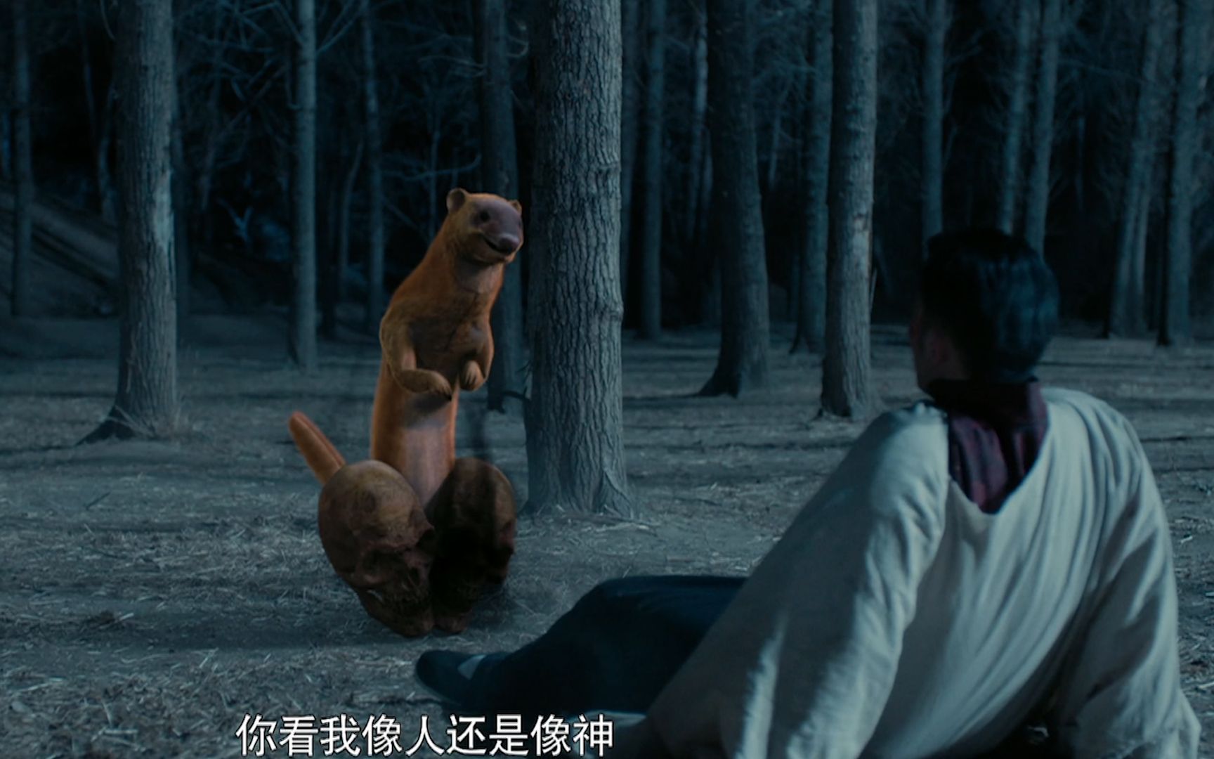 半夜经过坟地,黄皮子拦路问话:你看我像人还是像神?