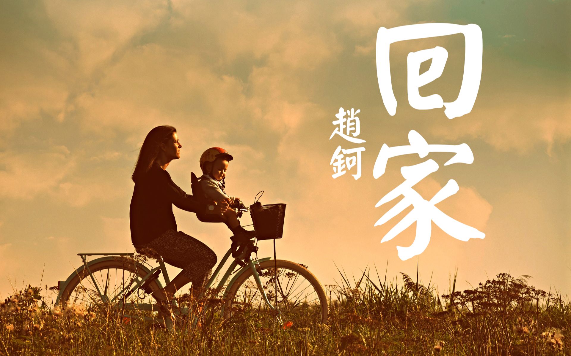 赵钶-回家『推开门叫一声 妈 才算长大』【動態歌詞lyrics】【可视化