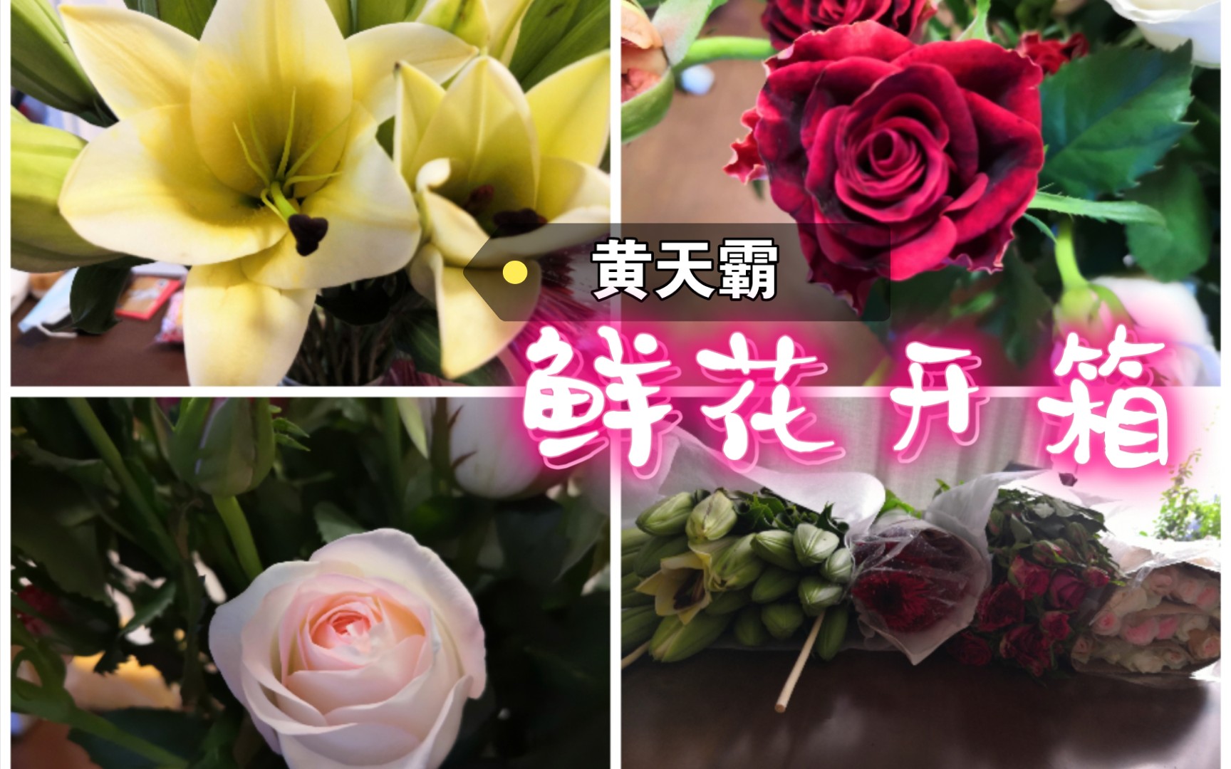 【鲜花开箱】39.8米七十枝鲜花!居然还有超美百合—黄天霸哔哩哔哩bilibili