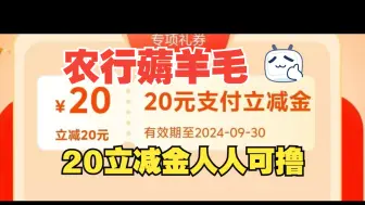 Download Video: 农行20元支付宝立减金教程！人人可撸速度~