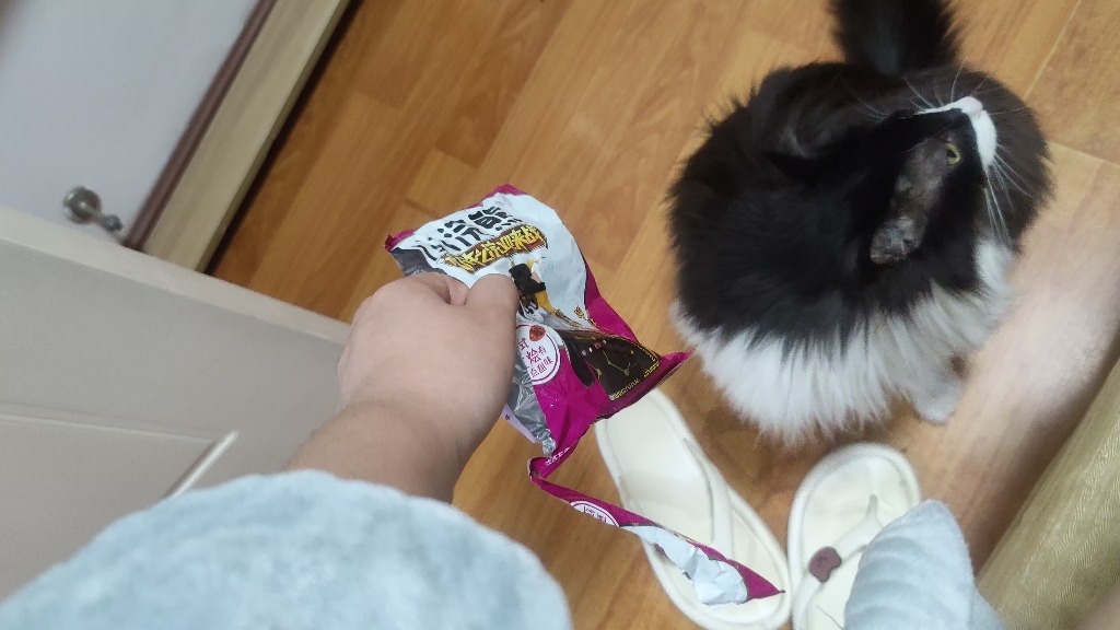 当猫咪遇上干脆面