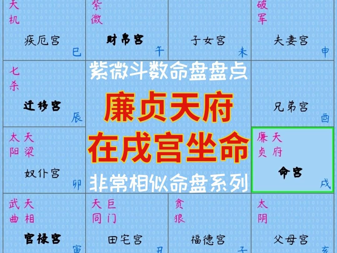 廉贞天府在戌宫坐命(紫微斗数非常相似命盘盘点)