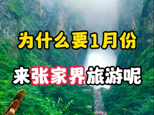 为什么一定要选择1月份、2月份来张家界?因为这个时候景色很好!游客少!张家界到底应该怎么玩?这个视频告诉你! #张家界自由行旅游攻略 #张家界旅...