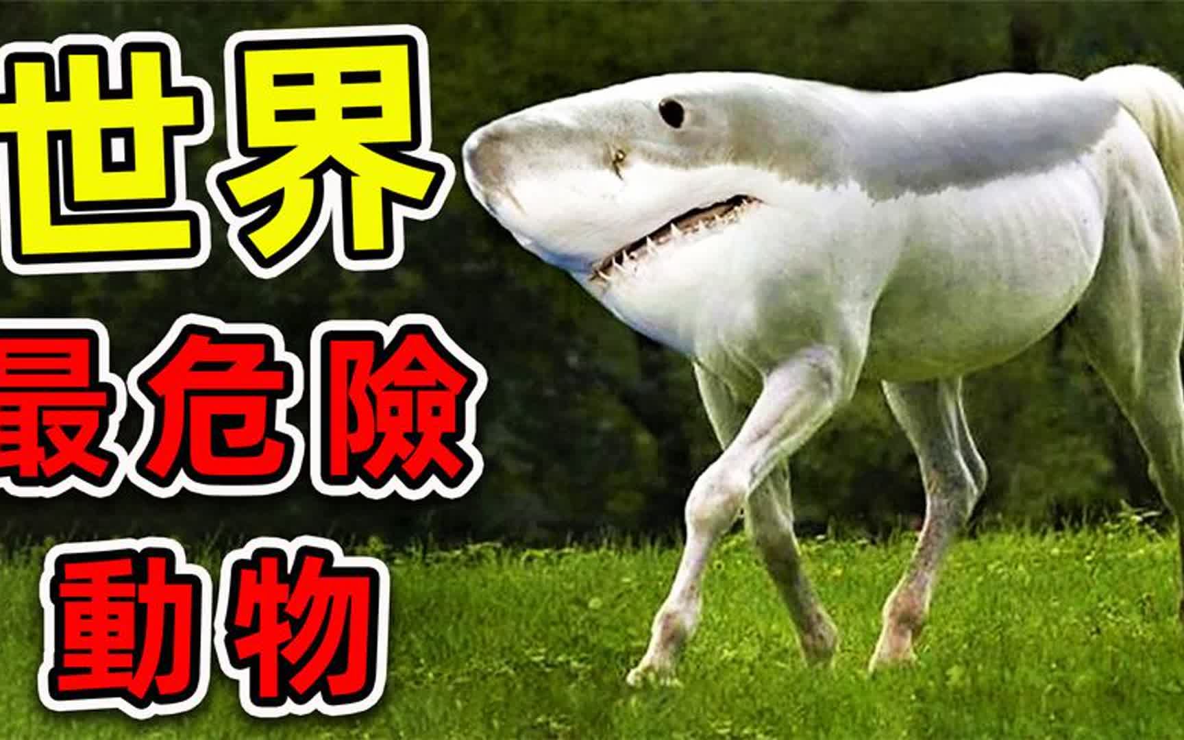 全世界最危险的12种杂交动物!人兽合体真实存在,直接吓坏科学家