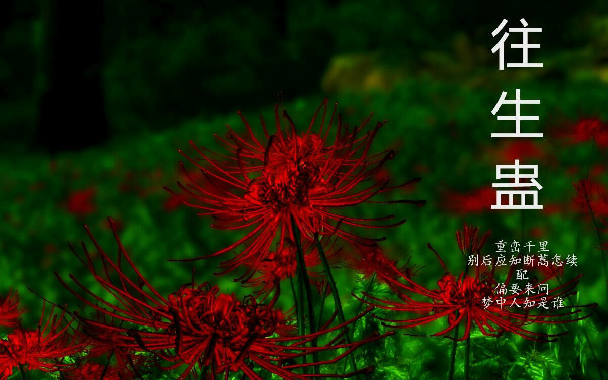 天刀原创往生蛊