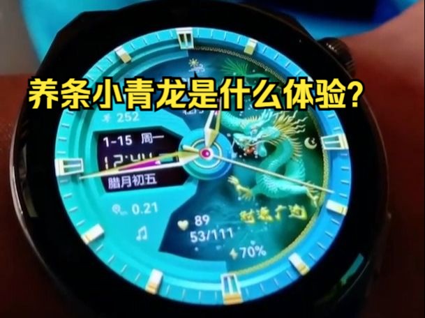 最 最酷的网红华为表盘,盛世龙腾青龙!