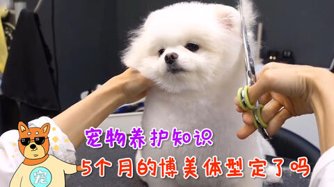 搜索 哔哩哔哩 つロ干杯 Bilibili