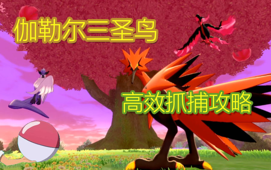宝可梦剑盾冠之雪原dlc伽勒尔形态三圣鸟高效抓捕攻略