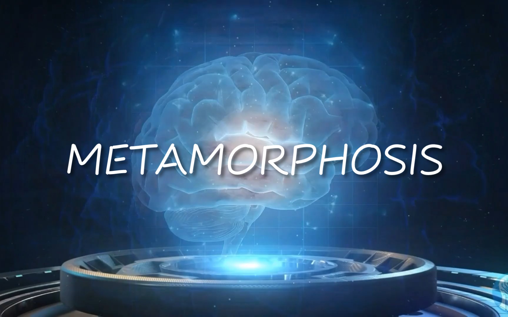 [图]【长脑の小曲】METAMORPHOSIS｜“小曲一响，脑子开长”