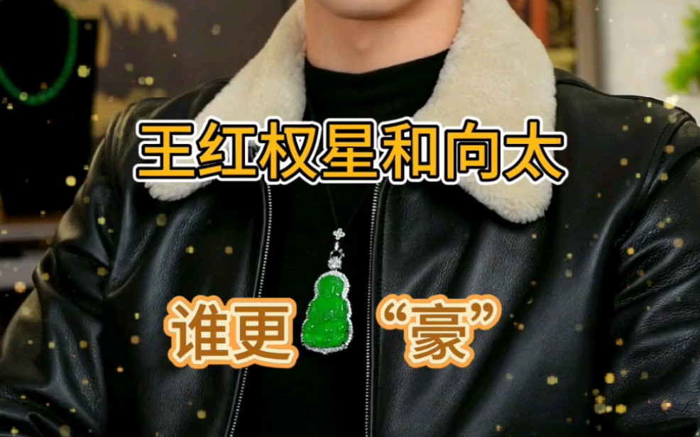 揭秘王红权星和向太 谁更"豪"