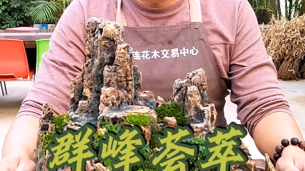 群峰荟萃山水盆景哔哩哔哩bilibili