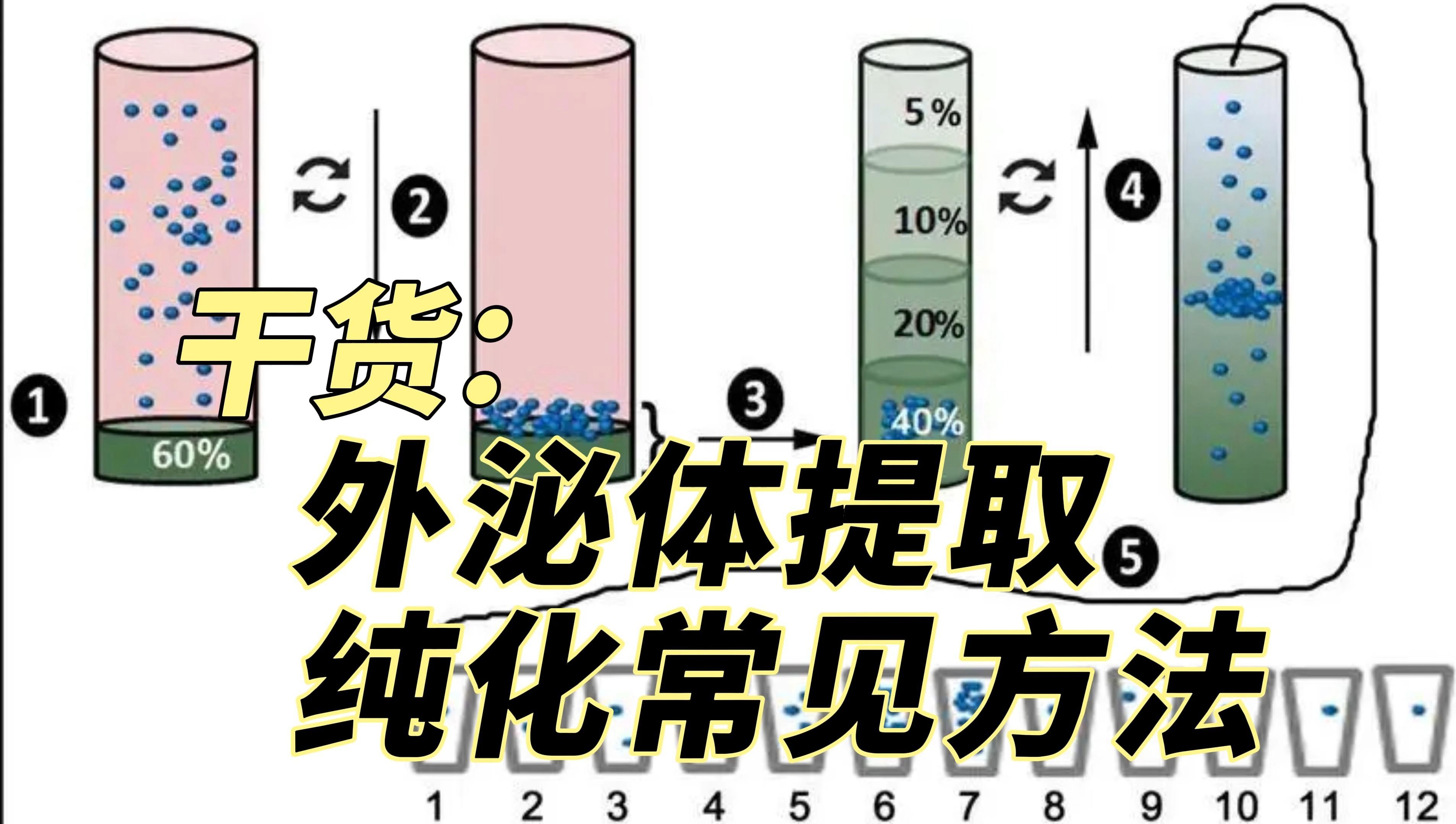 干货|外泌体提取与纯化常见方法哔哩哔哩bilibili