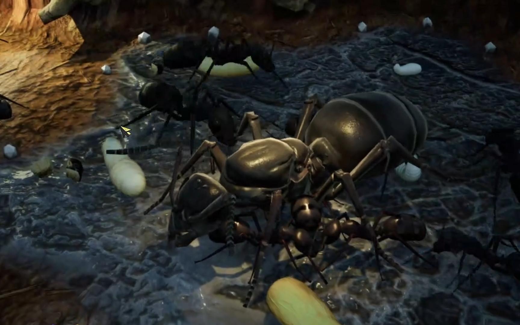 地下蚁国·丝光褐林蚁【极限 挑战】实况1.1-新家园