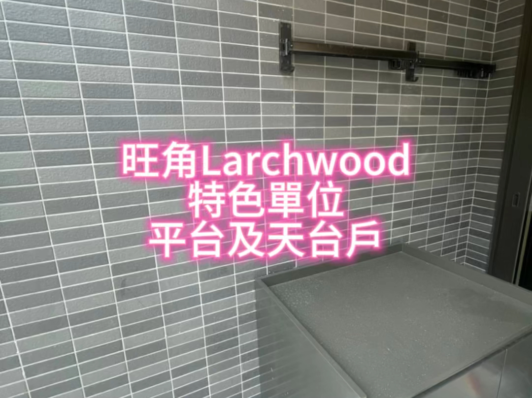 旺角Larchwood 收租王近期热卖有一个买家 一次买十间所以发展商加推特色单位趁市场不错 推出最佳单位 #一手房 #收租王 #旺角房子哔哩哔哩bilibili