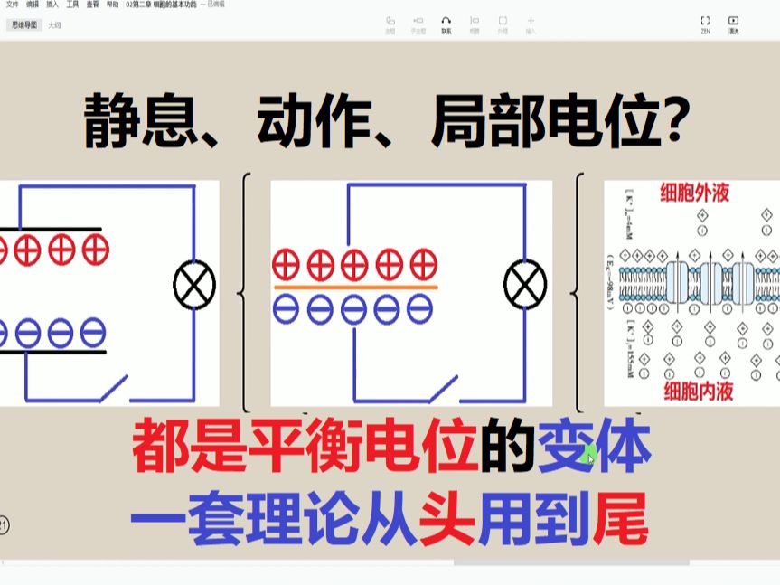 05静息与动作电位的逻辑推理哔哩哔哩bilibili