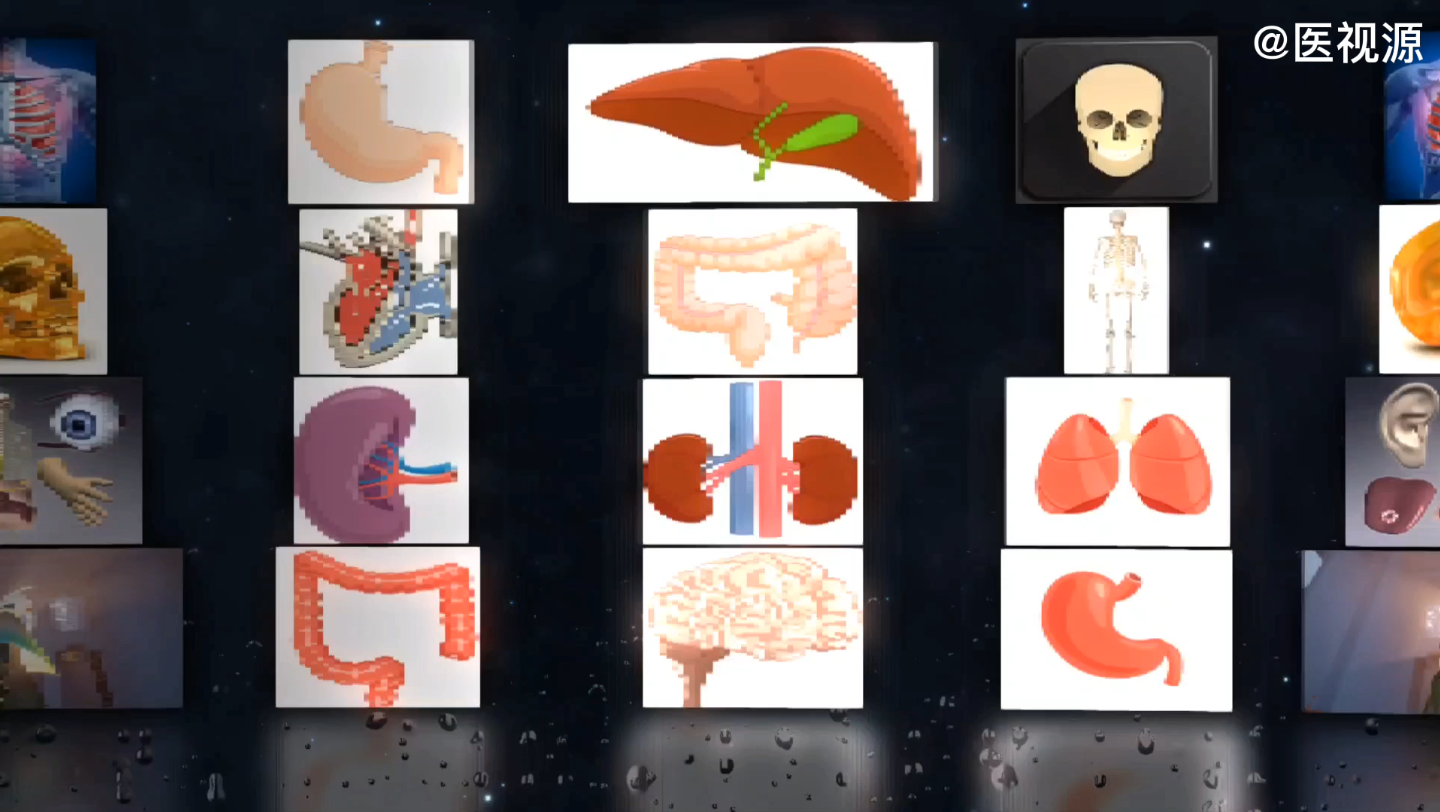 [图]人体局部解剖学-心腔结构解剖