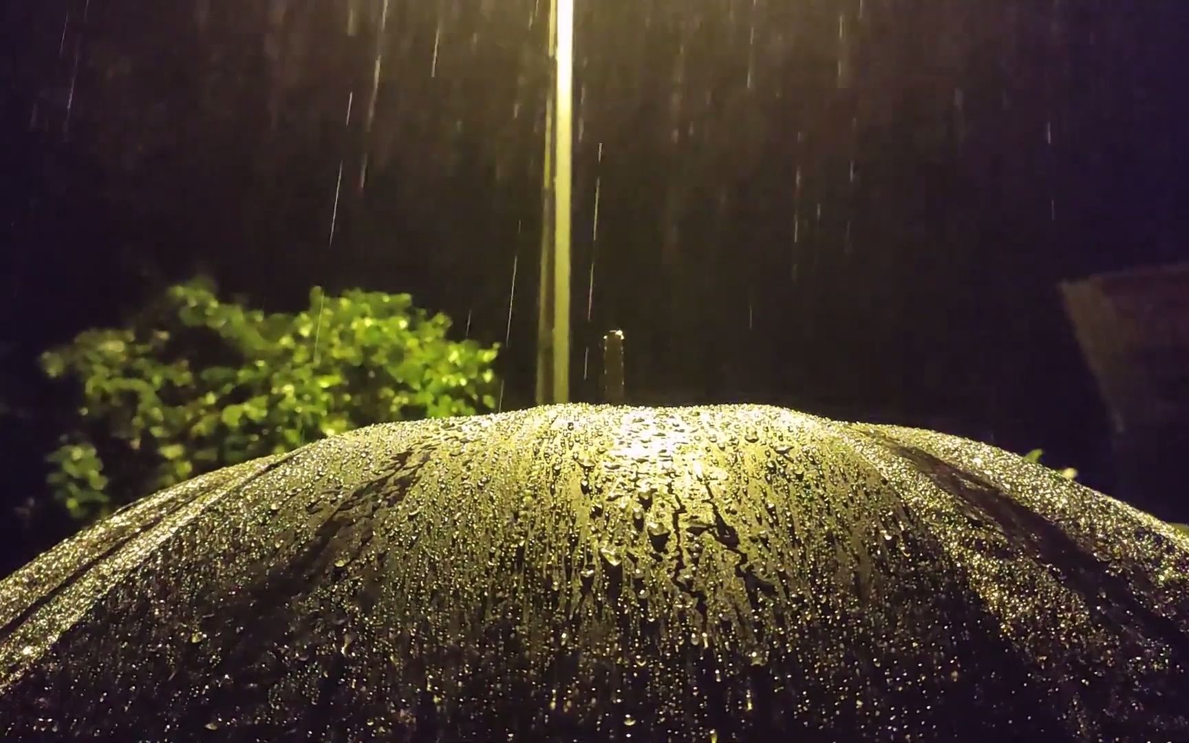 【真实雨声】雨滴落在伞上的纯大自然声音